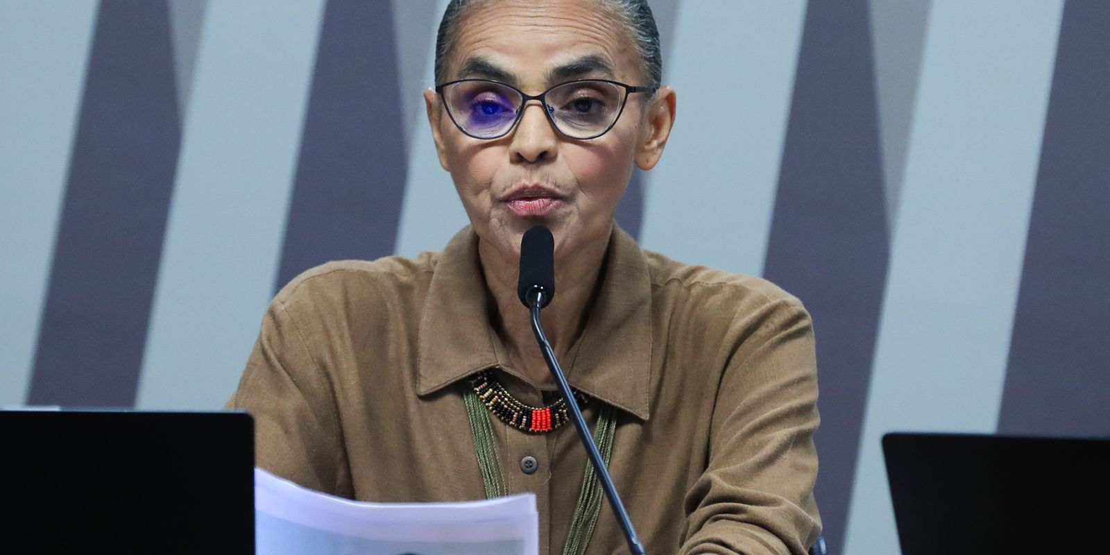 Oposição à proteção ambiental tenta silenciar Marina, diz analista Oposição à proteção ambiental tenta silenciar Marina, diz analista
