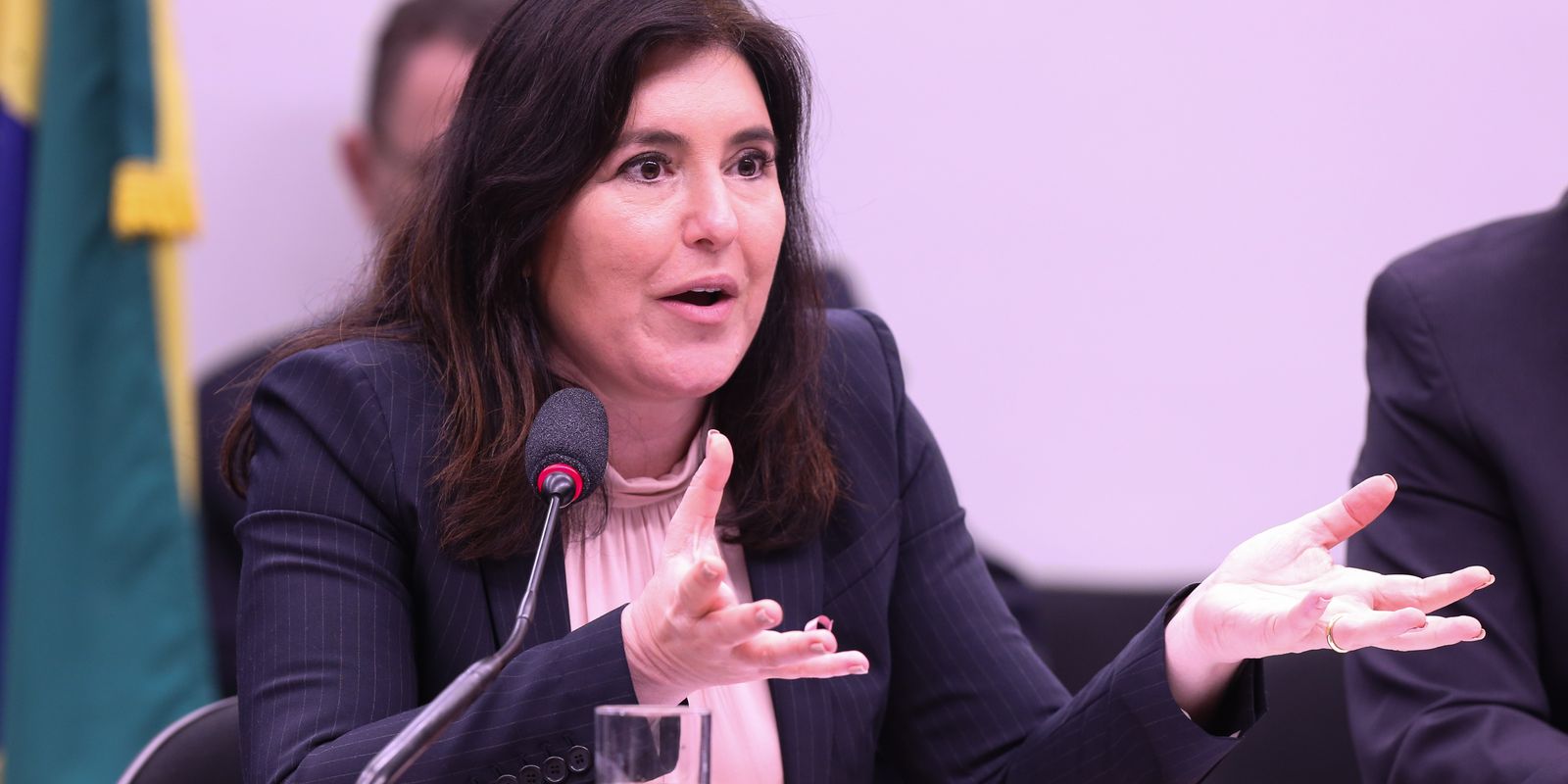 Ministra Simone Tebet apresenta o Plano Plurianual Participativo