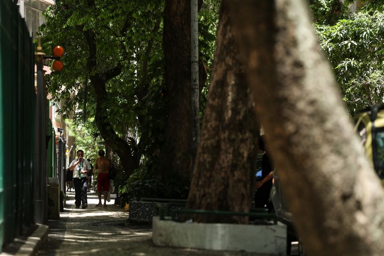Rio de Janeiro (RJ), 14/01/2026 – A Rua Almirante Tamandaré, no Flamengo, na zona sul do Rio é uma via arborizada. Foto: Tomaz Silva/Agência Brasil