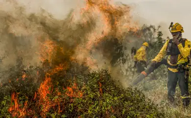 Corumbá (MS), 29/06/2024 - Com o auxílio de aviões, brigadistas do Prevfogo/Ibama combatem incêndios florestais no Pantanal. Foto: Marcelo Camargo/Agência Brasil