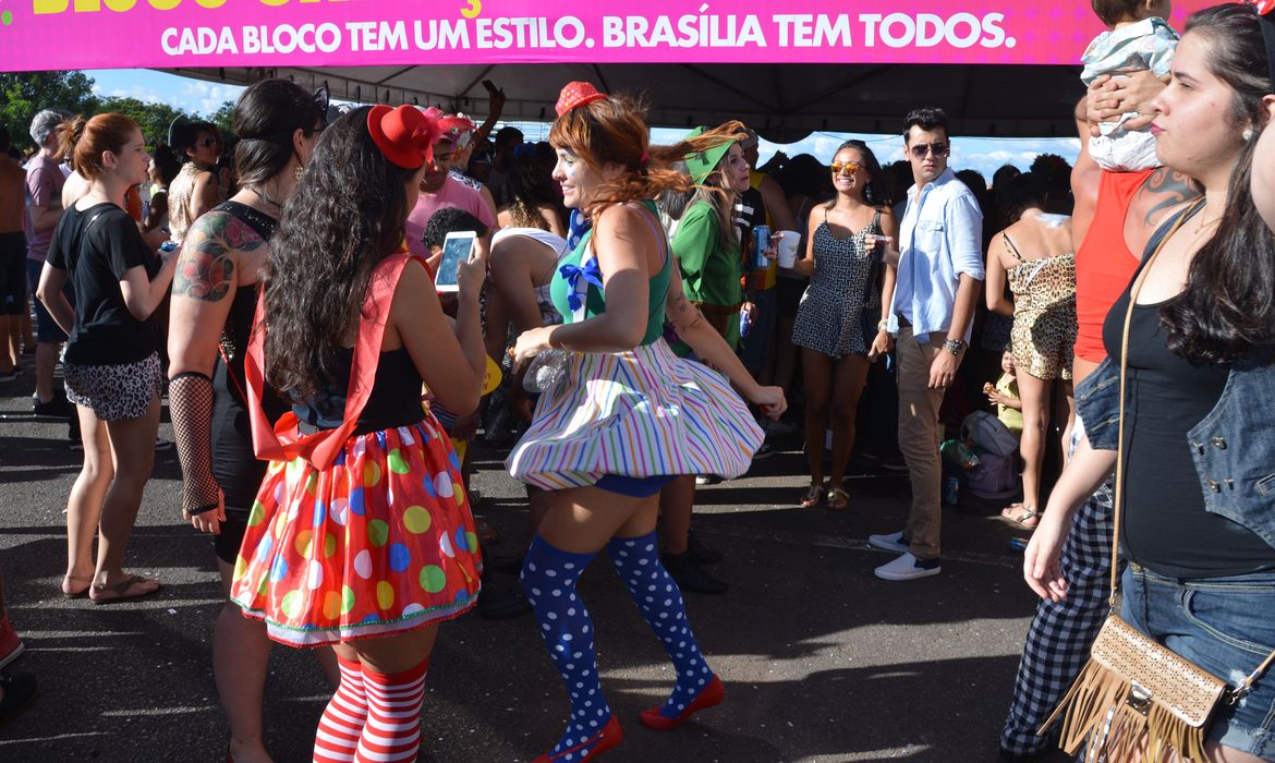 Brasília - O bloco Cafuçu do Cerrado animou os foliões brasilienses  (Antonio Cruz/Agência Brasil)
