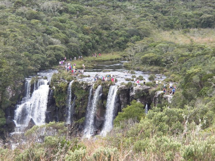 Lucio Santos/ICMBio Parque Nacional de Aparados da Serra