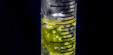 Pesquisadores desenvolveram um óleogel a partir de óleo vegetal líquido para substituir gorduras saturadas e trans. usada na indústria de alimentos