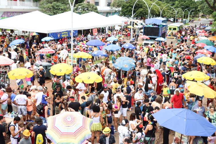 Valter Campanato/Agência Brasil Brasília, (DF) – 10/02/2024 – Carnaval de rua, Galinho de Brasília. Foto Valter Campanato/Agência Brasil.