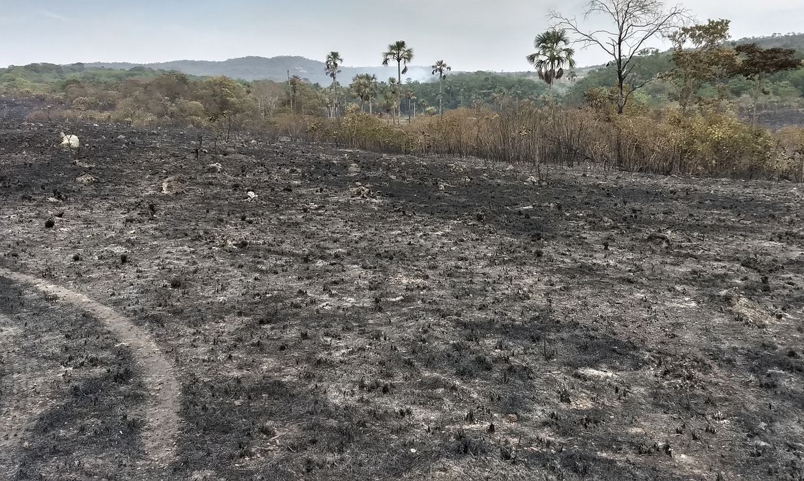 São Jorge (GO) - Incêndios que destroem o Parque Nacional da Chapada dos Veadeiros (Valter Campanato/Agência Brasil)