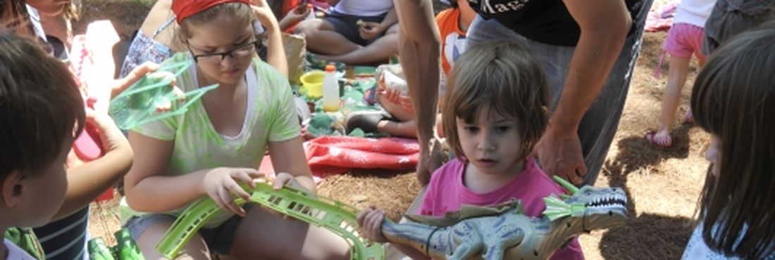 A 1ª Feira de Troca de Brinquedos de Brasília, realizada no Jardim Botânico, reuniu centenas de famílias.