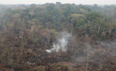 Fumaça de queimadas sobe em floresta tropical na Terra Indígena Yanomami, Roraima, Brasil, 2 de março de 2024. REUTERS/Bruno Kelly