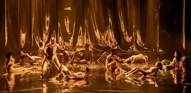 Niterói Semana de Dança 
