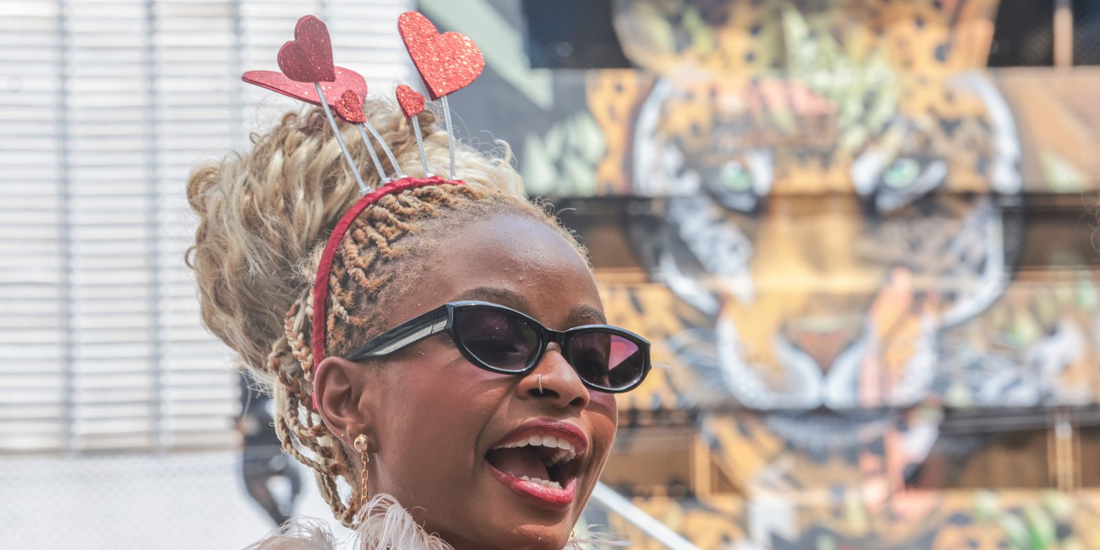 Em SP, Carnaval continua em bibliotecas, bosques e pontos de leitura