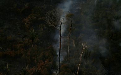 queimadas Amazônia
