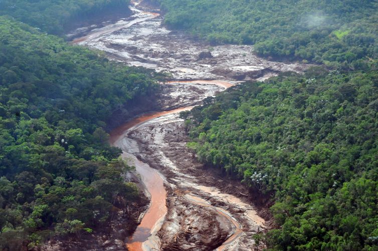 Imagem cedida pela Fundação Renova Reflorestamento de áreas atingidas em Mariana