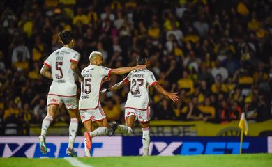 flamengo, criciúma, brasileiro