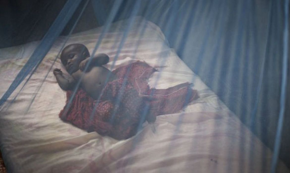 Segundo a OMS, entre 2000 e 2015 o número de mortes causadas pela malária caiu 62% e o número de casos teve uma redução de 41%