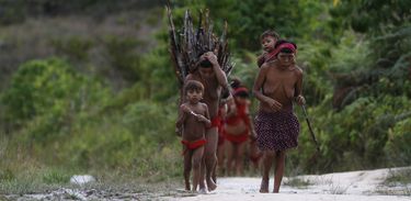 Terra Indígena Yanomami