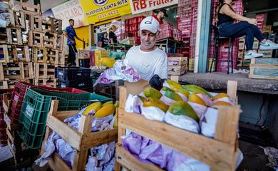 Brasília-DF, 10.11.2023, A Centrais de Abastecimento do Distrito Federal, a CEASA-DF, tem movimento intenso de pessoas que buscam as melhores frutas, legumes e verduras.  Foto: Rafa Neddermeyer/Agência Brasil