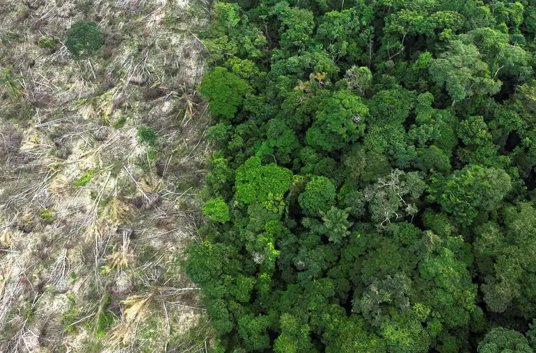 DESMATAMENTO AMAZONIA - FILE PHOTO: An aerial view shows a deforested area during an operation to combat deforestation near Uruara, Para State, Brazil January 21, 2023. REUTERS/Ueslei Marcelino/File Photo