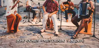 Capa do álbum dominguinho