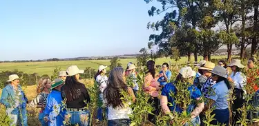 Saiba sobre o projeto Força Feminina que apoia mulheres e suas famílias em comunidades rurais