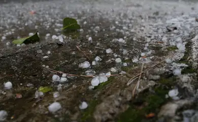 São Paulo (SP), 20/03/2023 - Chove granizo na Vila Leopoldina, Zona Oeste de São Paulo, no final da tarde. Foto: Fernando Frazão/Agência Brasil