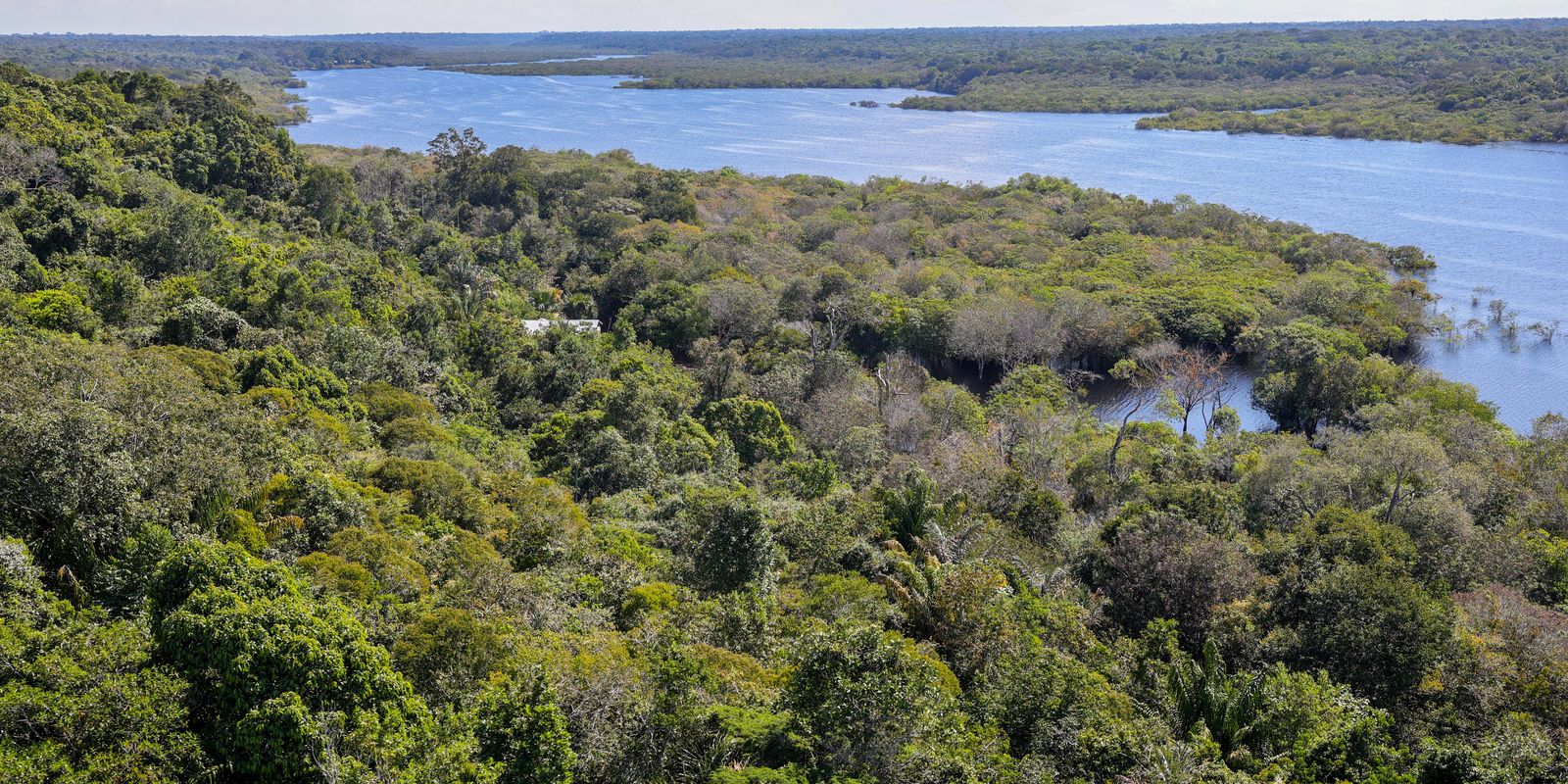 Viva Maria traz reflexões sobre Dia da Amazônia e preservação do bioma