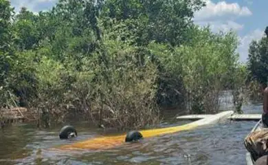 Brasília (DF), 22/09/2025 – FAB intercepta aeronave hostil oriunda do Peru.
Foto: FAB