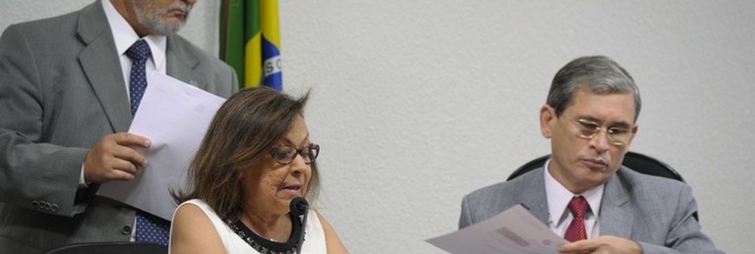 A relatora da CPI do Tráfico Nacional e Internacional de Pessoas, senadora Lídice da Mata (PSB-BA)