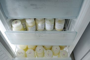 Doação de leite materno, banco de leite