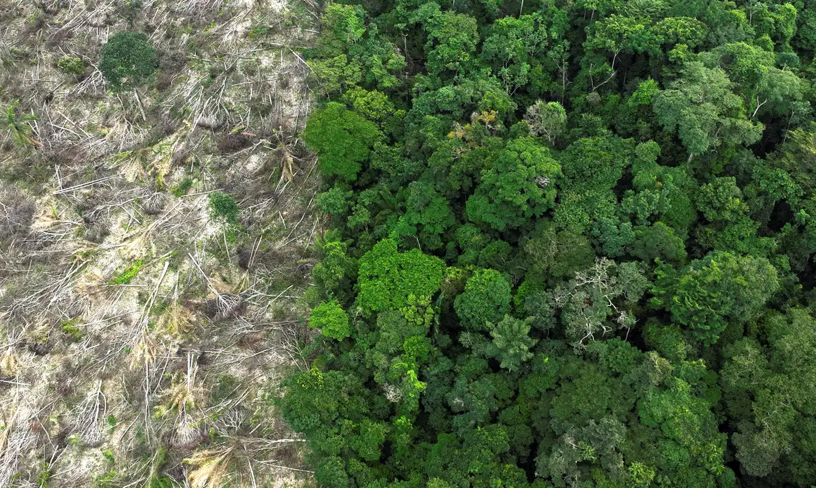 DESMATAMENTO AMAZONIA - FILE PHOTO: An aerial view shows a deforested area during an operation to combat deforestation near Uruara, Para State, Brazil January 21, 2023. REUTERS/Ueslei Marcelino/File Photo