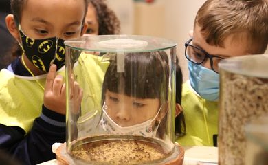 Visita da Escola Municipal de Educação Infantil (EMEI) Heitor Villa Lobos na exposição Planeta Inseto, no Museu do Instituto Biológico.