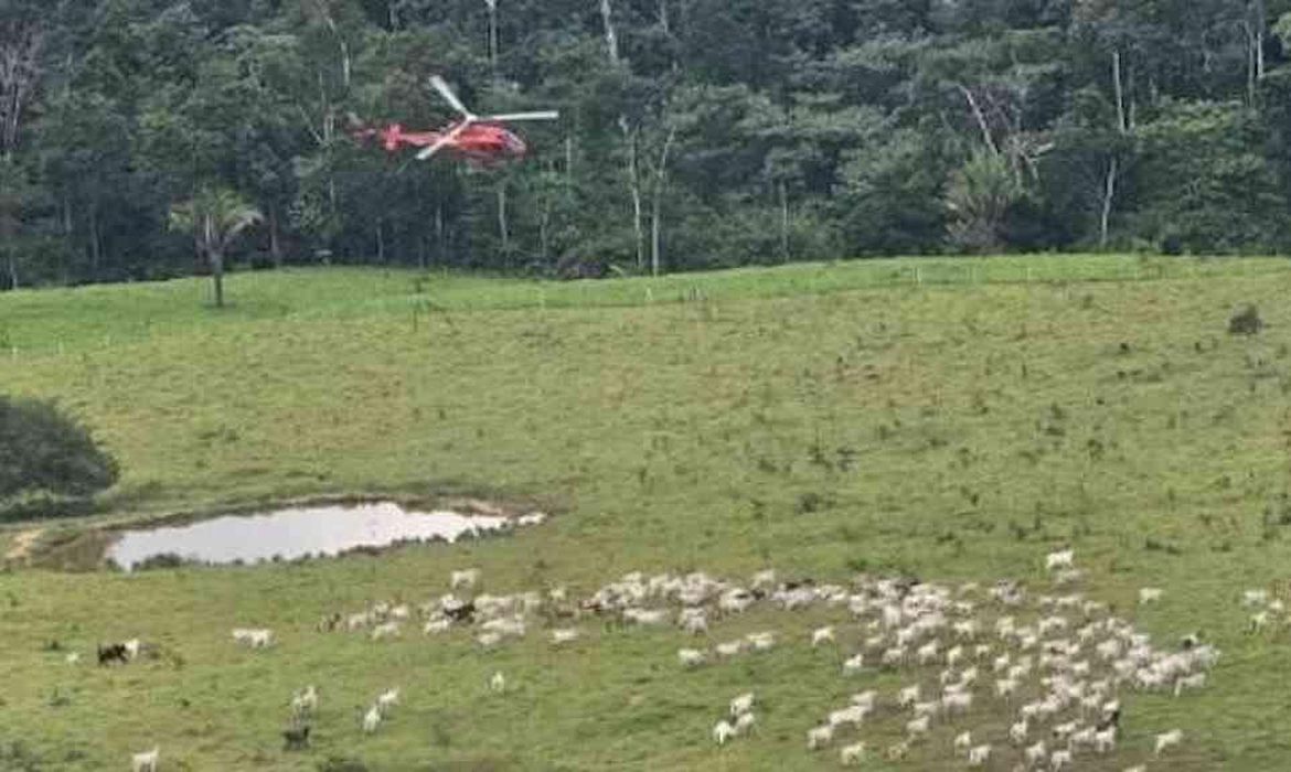 Acre, 16/06/2025 - Funcionários do ICMBio enfrentam ataques na Reserva Extrativista Chico Mendes durante a Operação Suçuarana, que combate desmatamento e pecuária ilegal. Foto: Agência Gov/Divulgação