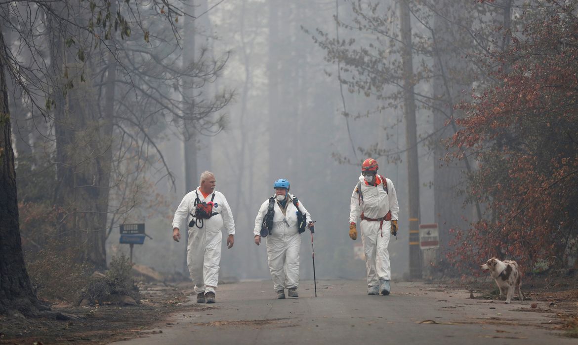 Voluntários procuram por restos humanos em um bairro destruído pelo incêndio em Paradise, Califórnia, EUA.