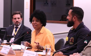 Brasília (DF), 10/07//2025  -  Comissão de Indústria, Comércio e Serviços da Câmara durante audiência para debater os impactos das tarifas americanas sobre o aço e o alumínio brasileiros. Foto: Lula Marques/Agência Brasil