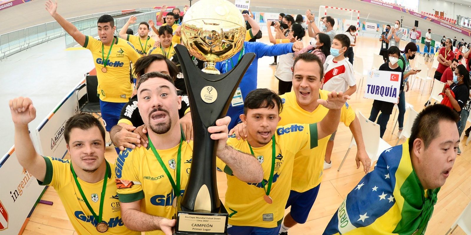 seleção brasileira - futsal Down