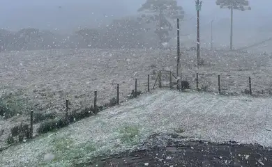 São José dos Ausentes (RS), 09/08/2025 - Neve no Rio Grande do Sul. Foto: Milena Velho Amaral/Divulgação