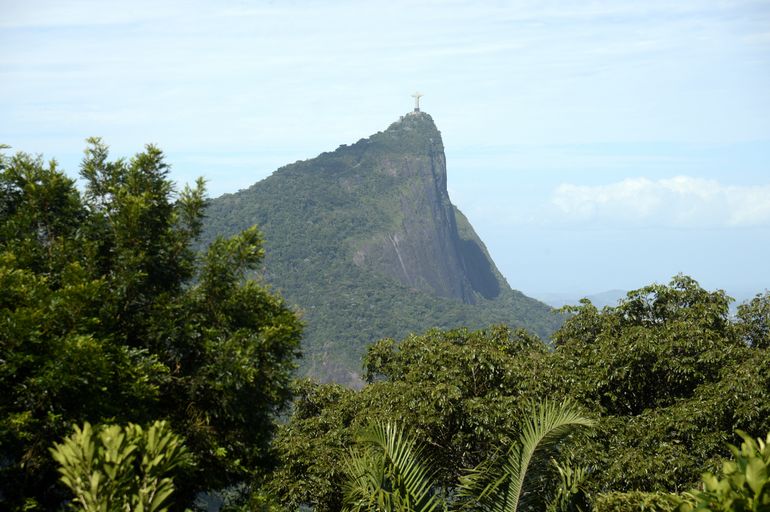 Vista Da Mata Atlântica Na Floresta Da Tijuca, No Rio De Janeiro ...