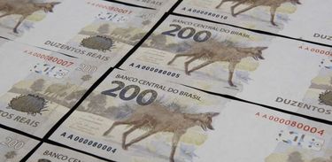 O Banco Central (BC) lançou no último dia 02/09 a nova nota de R$ 200,00 com a imagem do lobo-guará