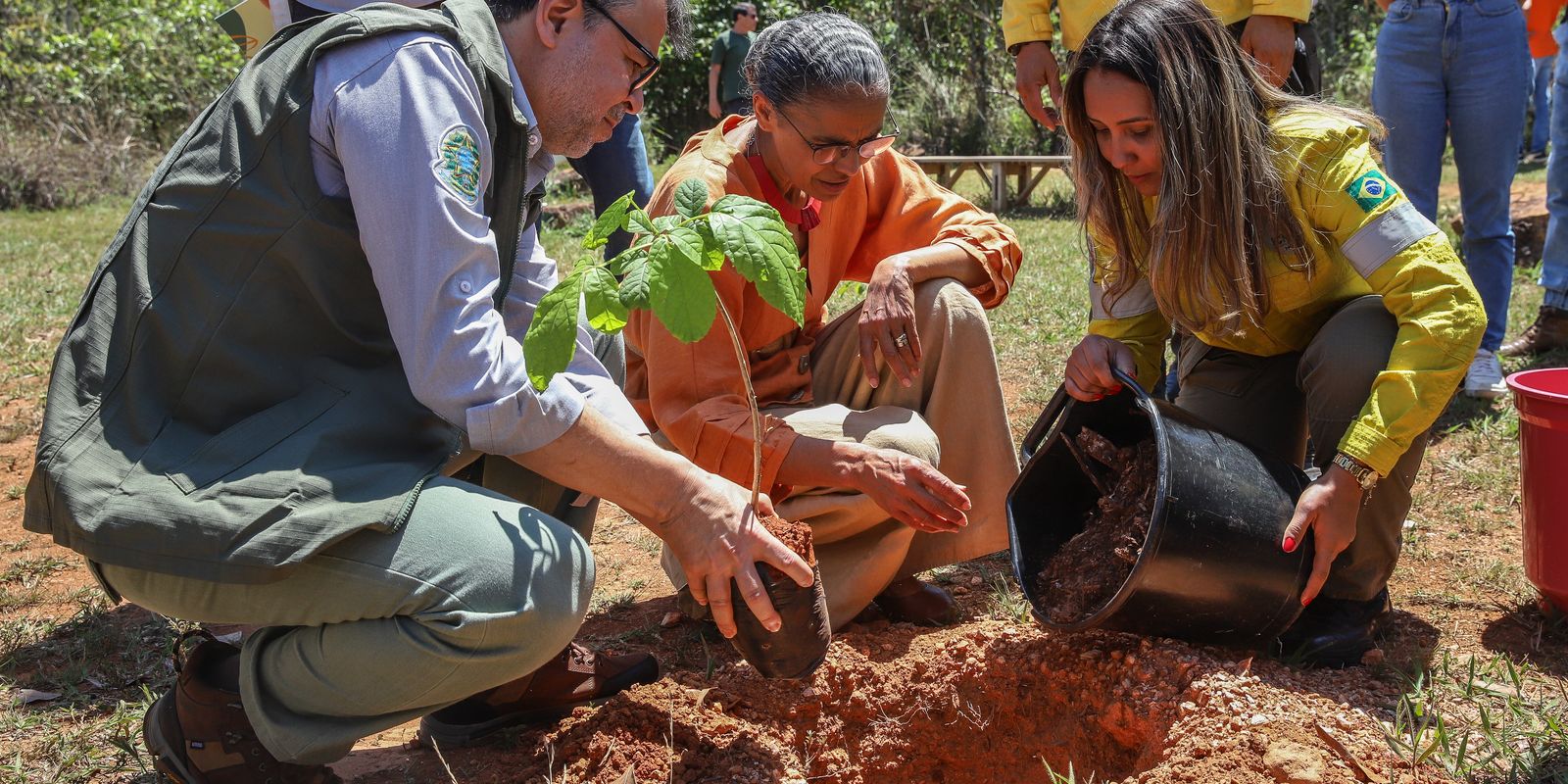 Parques em Brasília: estrutura e belezas do Cerrado perto de casa