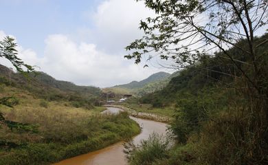  Experimento de restauração florestal em área sob influência de rejeitos da barragem de Fundão, trecho do rio Gualaxo do Norte, um dos principais afluentes do rio Doce, que abrange os municípios de Mariana, Ouro Preto e Barra Longa