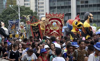 Brasília -  Bloco de carnaval de rua, Galinho de Brasília embala 10 mil foliões pelas ruas da capital do país (Wilson Dias/Agência Brasil).