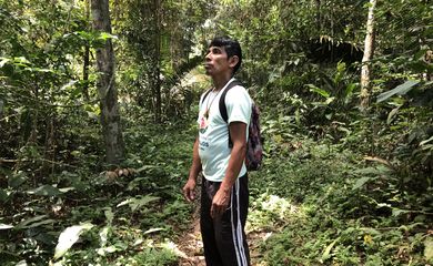 O guia Raimundo Vasconcelos acompanhou a equipe da TV Brasil em uma caminhada de 7 quilômetros pela floresta amazônica;
TV Brasil/Arquivo