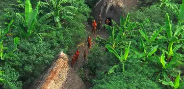 Grupo de indígenas isolados avistados em floresta do estado do Acre