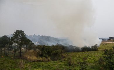 São Paulo (SP) 24/08/2024 - Foco de incêndio próximo a rodovia presidente Castelo Branco, o governo de São Paulo cria gabinete de crise para combate a incêndios
Estradas são interditadas e 30 municípios estão em alerta máximo
Foto: Paulo Pinto/Agência Brasil