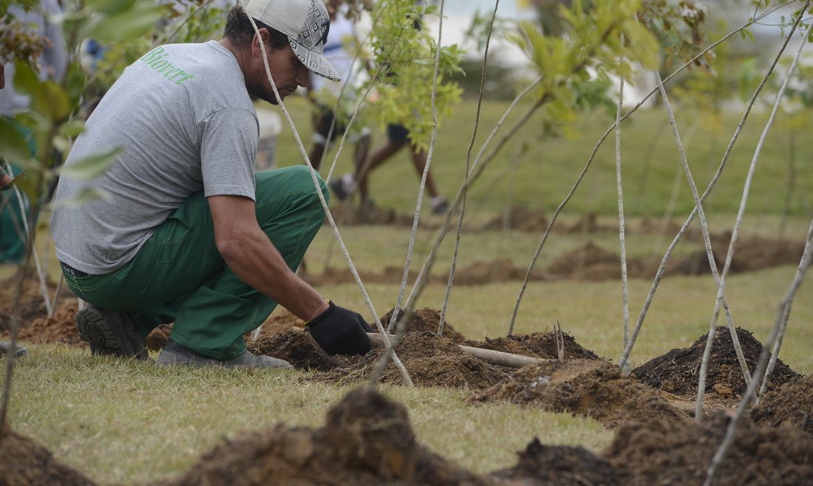 Rio de Janeiro -  Em comemoração ao Dia da Árvore, começa o plantio das 100 primeiras mudas na Floresta dos Atletas, no Parque Radical, em Deodoro. Em 2017, o local receberá as 12 mil mudas germinadas pelos atletas durante a cerimônia de