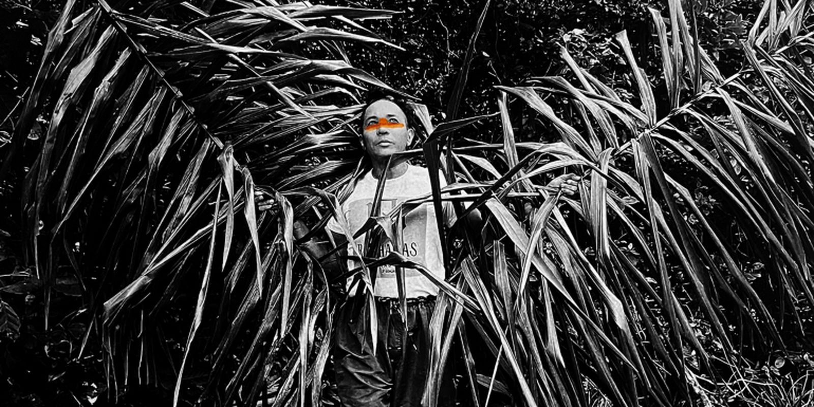 Exposição em SP propõe diálogos sobre gênero, sexualidade e natureza