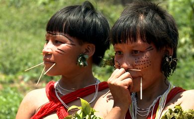 Brasília (DF - Caminhos da Reportagem Yanomami - O Direito de Existir - Mulheres indígenas yanomami. - Foto: TV Brasil/Divulgação