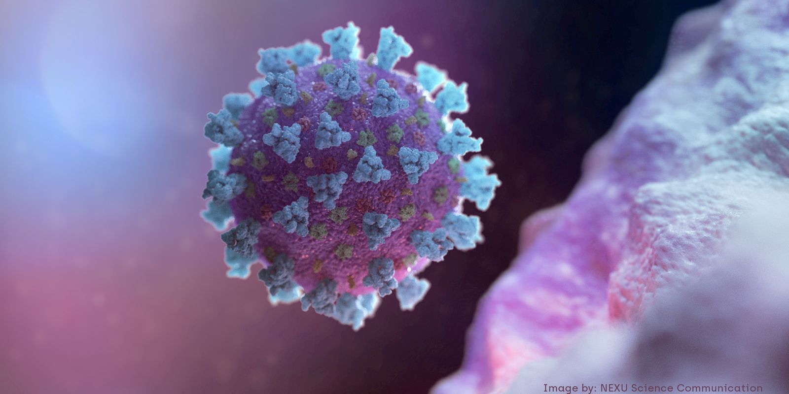 Modelo gerado por universidade de Dublin, na Irlanda, mostra em detalhes a estrutura do novo coronavírus.