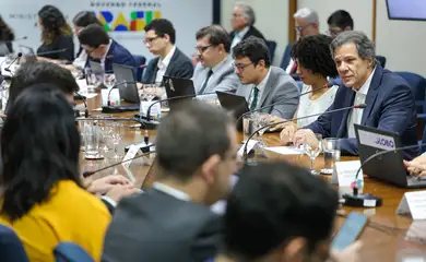 Brasília (DF) 20/12//2024 Ministro da Fazenda, Fernando Haddad, durante café da manhã com jornalistas  Foto: Fabio Rodrigues-Pozzebom/ Agência Brasil