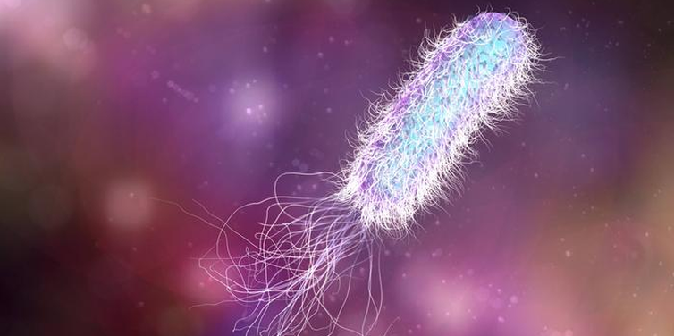 Futurando investiga por que bactérias estão cada vez mais resistentes a antibióticos
