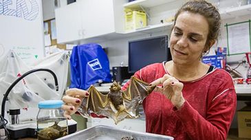 Professora Ludmilla Aguiar e um espécime de morcego conservado em álcool