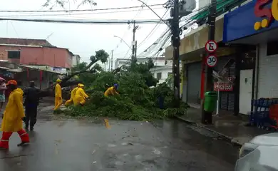 Recife (PE) - Equipes da prefeitura estão trabalhando para amenizar os impactos causados pelas chuvas.
Foto: Prefeitura do Recife/Twitter